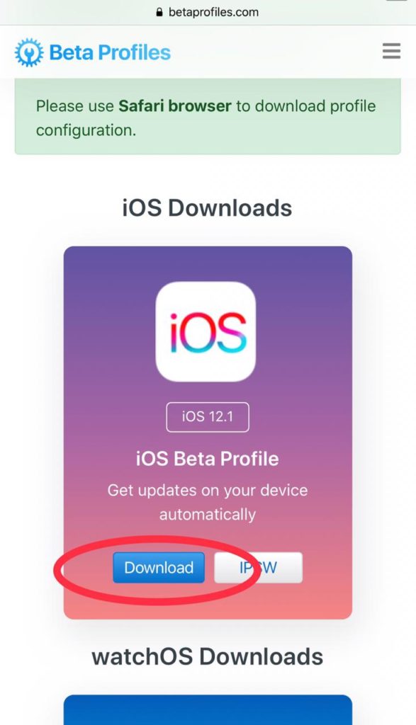 Steps To Download iOS Developer Beta Profile Free