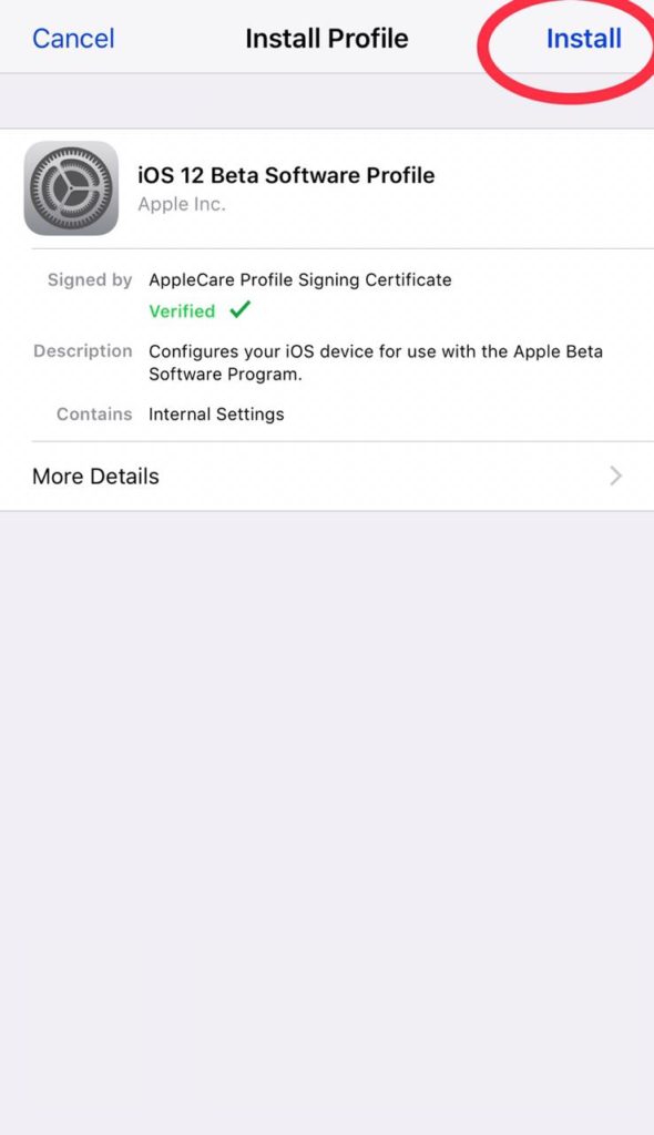Steps To Download iOS Developer Beta Profile Free