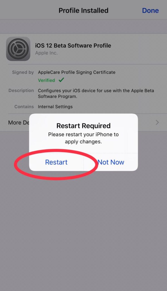 Steps To Download iOS Developer Beta Profile Free