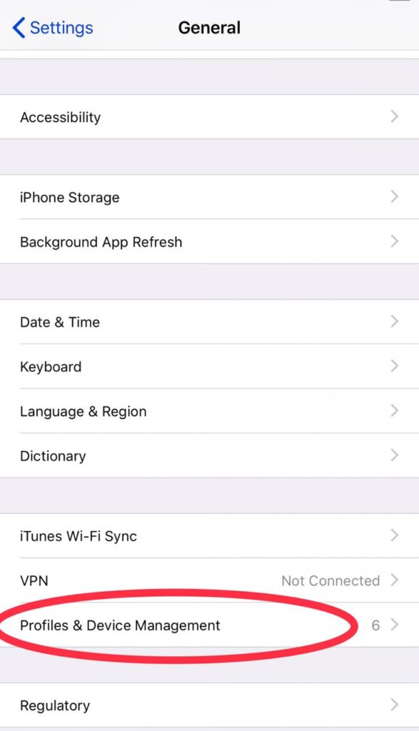 How to Trust an app iPhone iOS 13