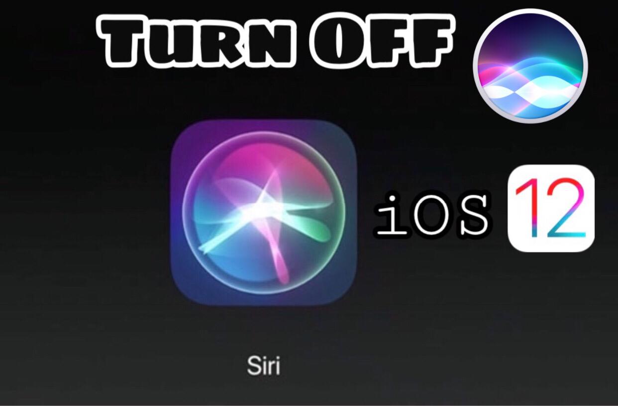 watchOS 10 の Apple Watch で Siri 設定にアクセスする手順。