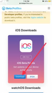 beta profile download