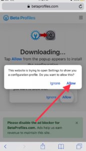 ios 13 beta profile downloading