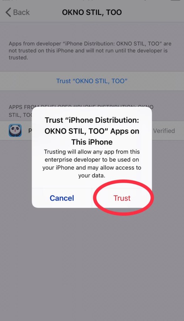 Trust an app on iPhone running on iOS 13/ iOS 12