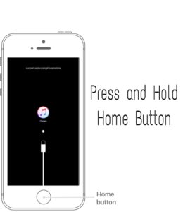 Press and Hold home button and connect USB Cable