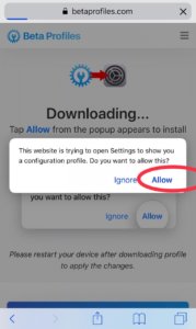 How to downloaf iOS 12.3 Beta 2