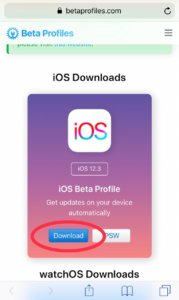Download iOS 12.3 beta 2