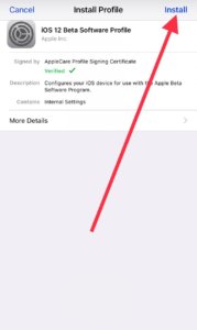 install iOS 12.3 Beta 2 Profile