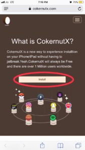 cokernutx