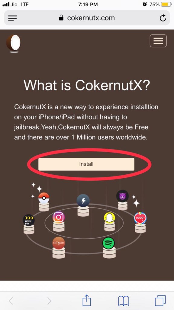 cokernutx
