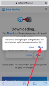 downloading iOS 12.4 beta 1