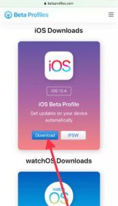 iOS 12.4 beta profile download