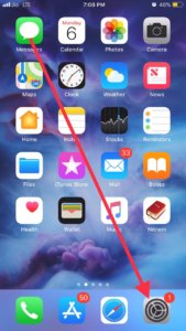Settings on iOS 12