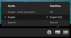 Audio Settings on Netflix