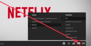 Change Audio Settings on Netflix