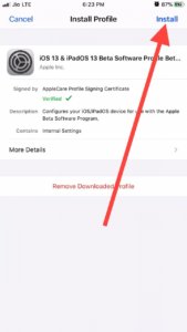 install iOS 13 Beta Profile