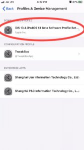 iOS 13 Beta Profile