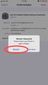 Restart to download iOS 13 Public beta