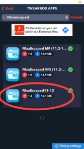 Filzaescaped iOS 12