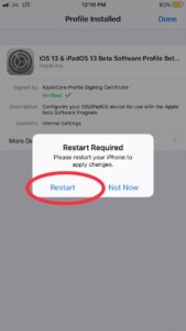 Restart iOS 13 developer beta
