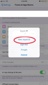 View Apple ID