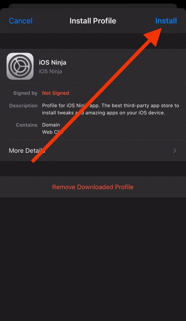 Install iOS Ninja