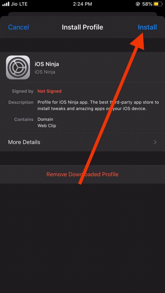 Download iOS Ninja