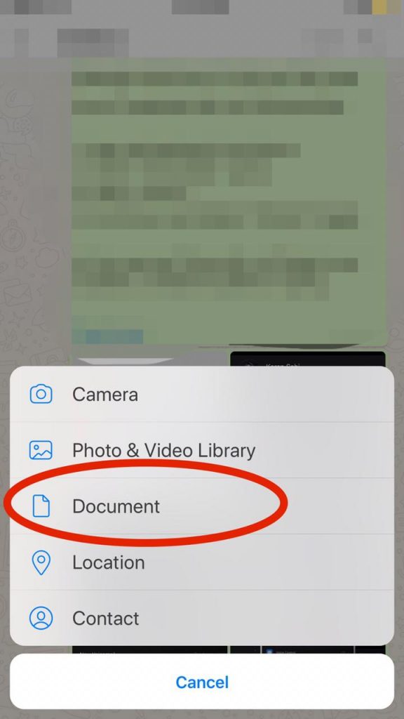 Select the Document