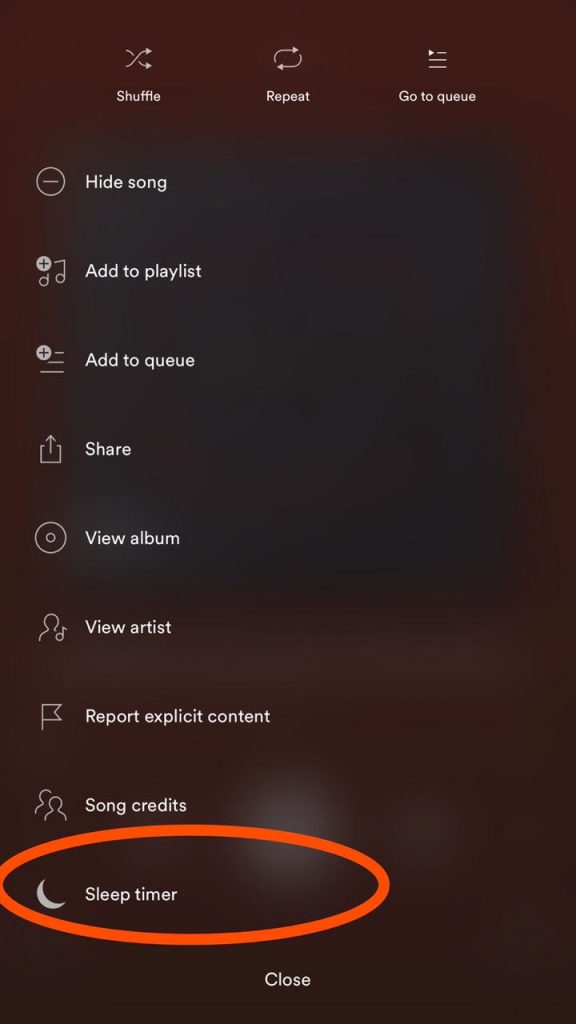 Sleep Timer Spotify (iPhone)