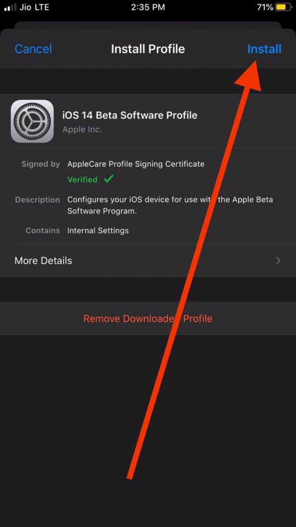 Install iOS 14 Developer Beta Profile